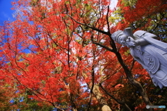 紅葉と菩薩像
