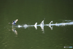 水走り