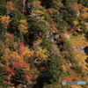 山の紅葉1