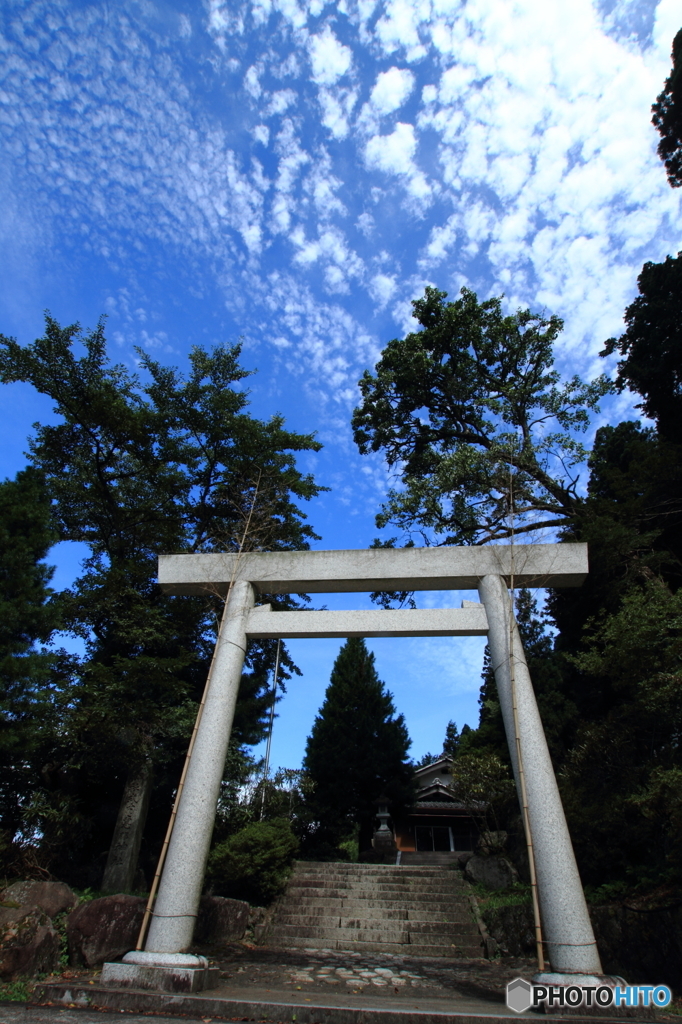 夏空と鳥居