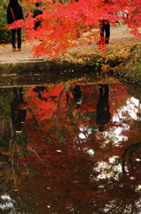 紅葉-水鏡
