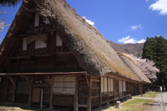 桜咲く世界遺産 7