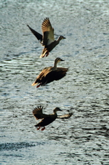 ３連飛び