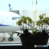 那覇空港での一コマ