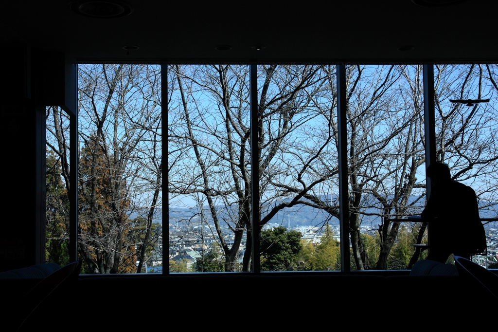 窓からの風景