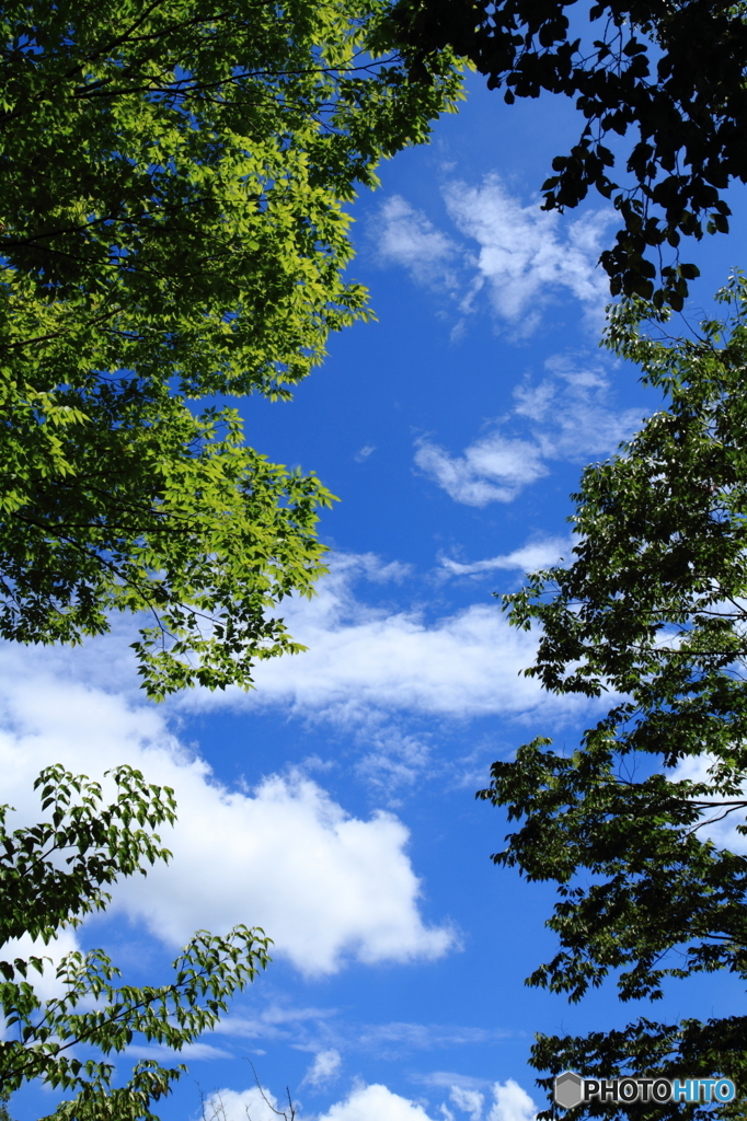 夏の青い空