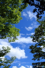 夏の青い空