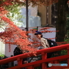橋の上の女性