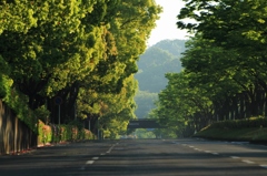 クルマの居ない車道（望遠）