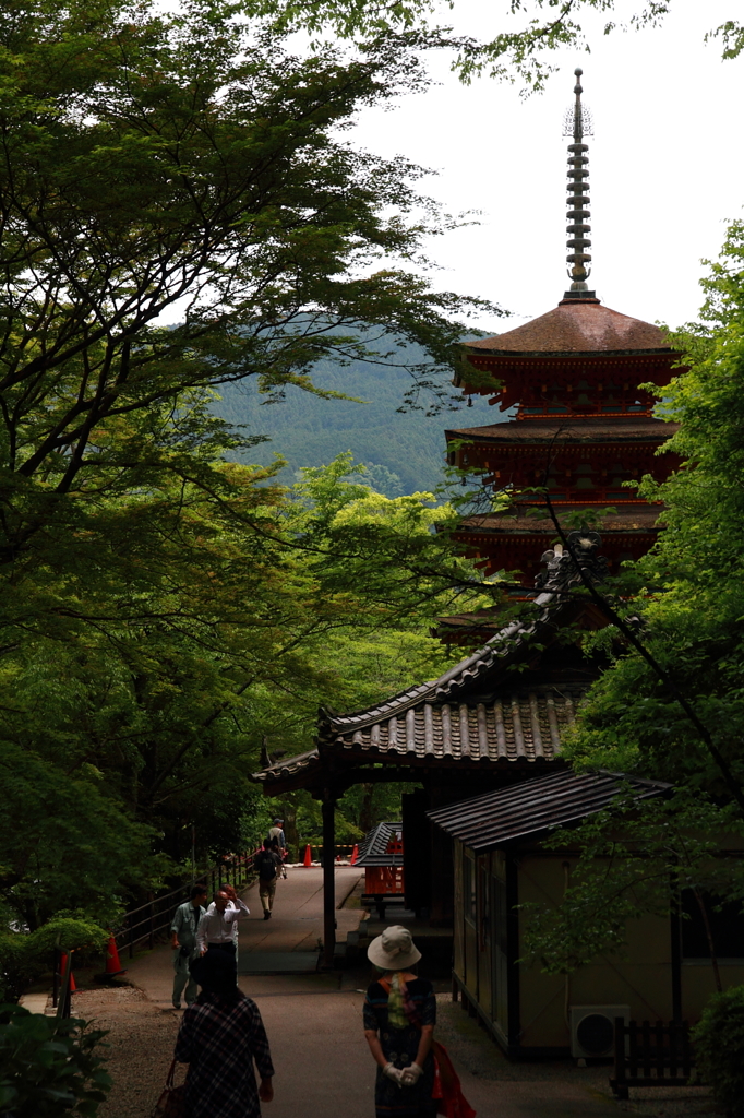 長谷寺－五重塔