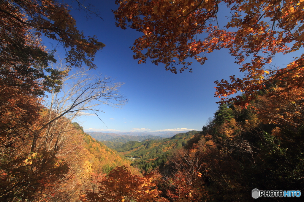 紅葉の間からアルプスを望む