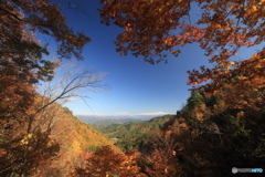 紅葉の間からアルプスを望む