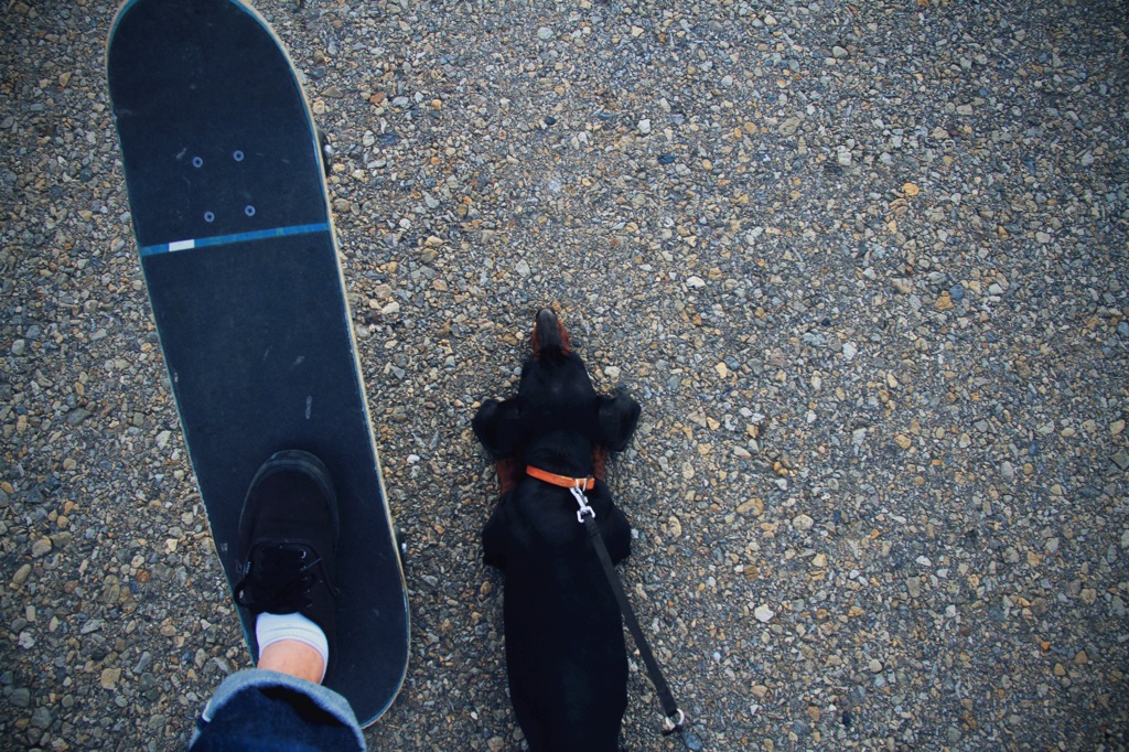 Off The Wall
