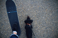 Off The Wall
