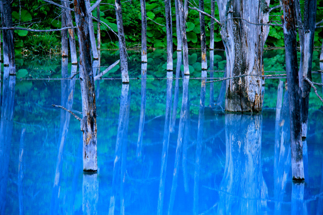 北海道 美しすぎる絶景 湖 17選 透明度日本一や世界遺産の湖も Shiori