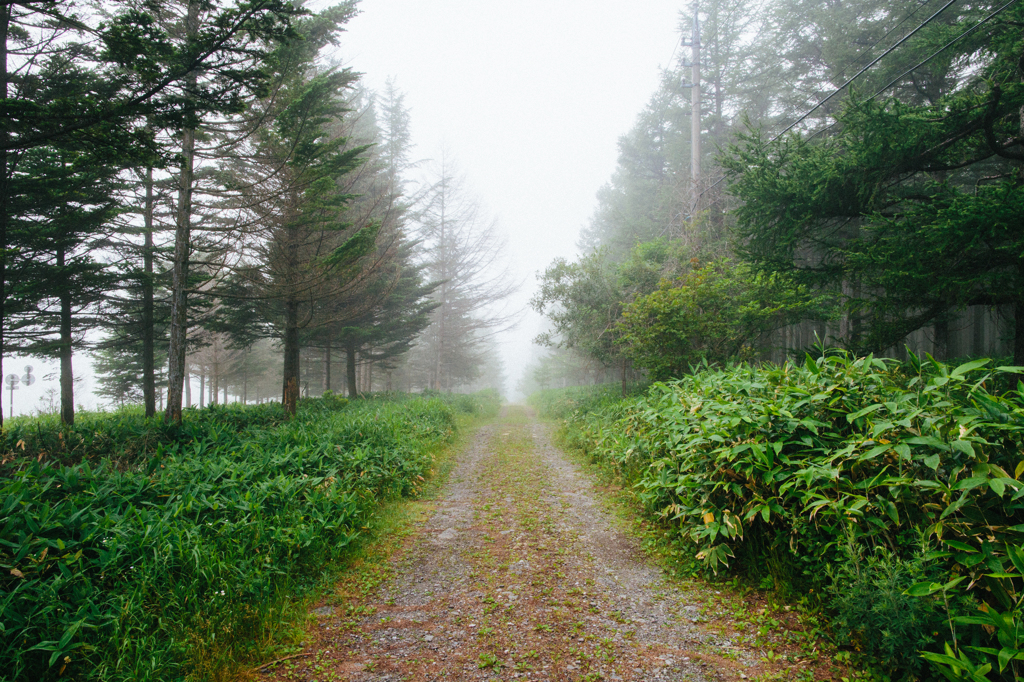 Explore Nagano