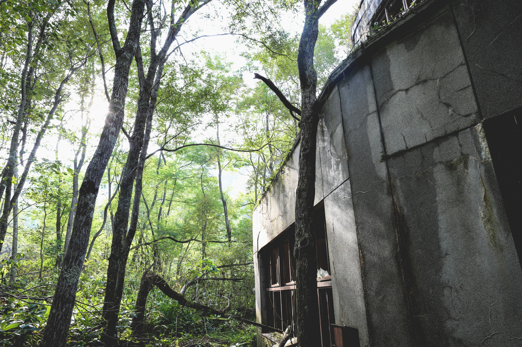 The Abandoned School