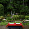 The Green Garden 