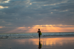 Surfer's Paradise