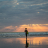Surfer's Paradise