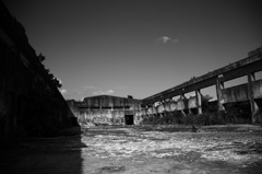 IMG_0226