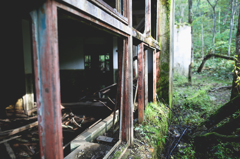 The Abandoned School