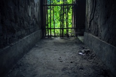 The Abandoned Palace
