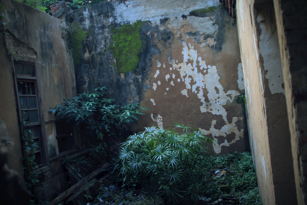 The Abandoned Palace