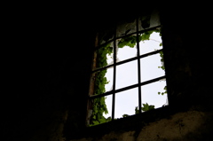 vanished world