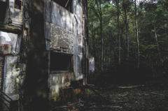 The Abandoned School