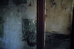 The Abandoned Palace
