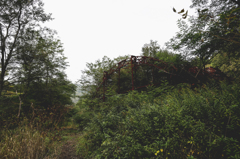 The Abandoned School