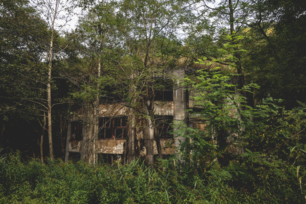 The Abandoned School