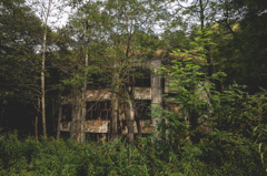 The Abandoned School