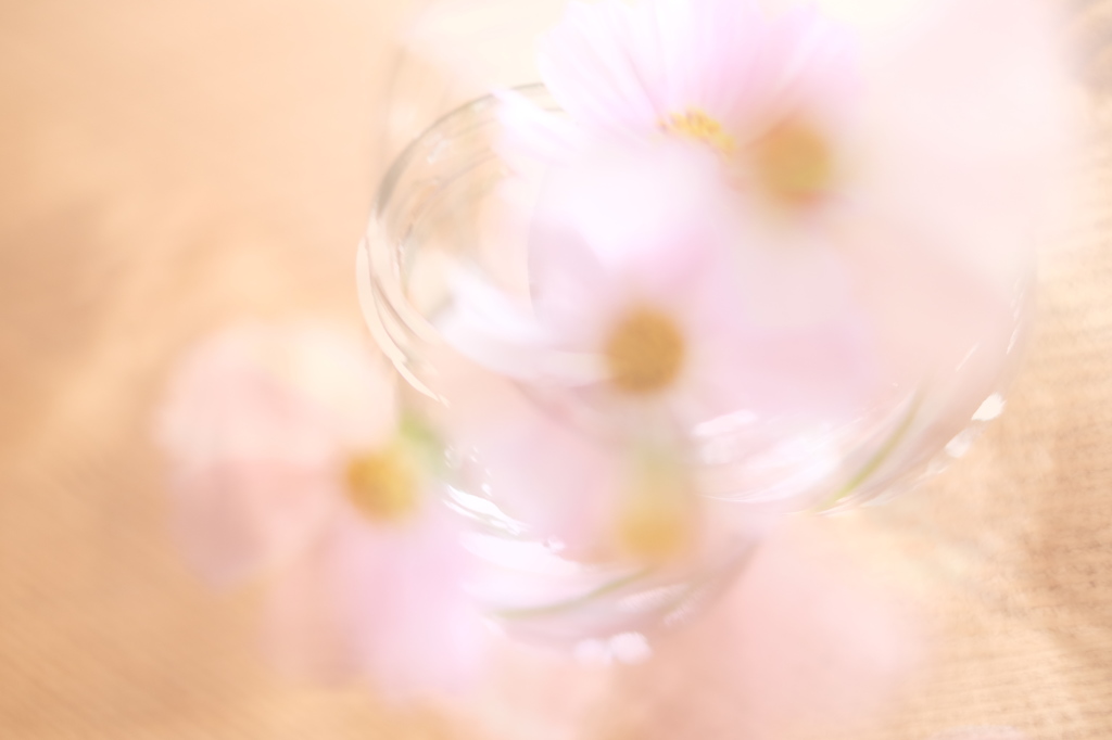 淡い