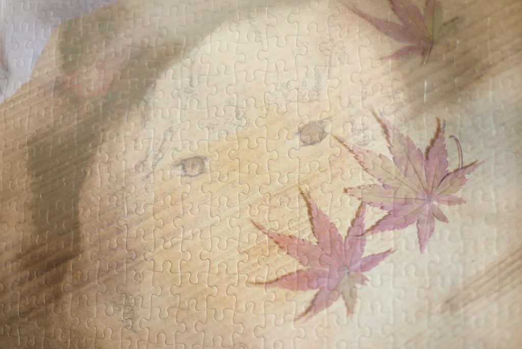 押し花