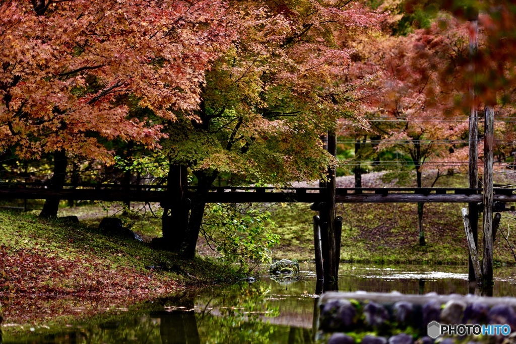 草履石公園の紅葉