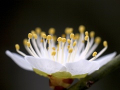 うめちゃん(^_^)/