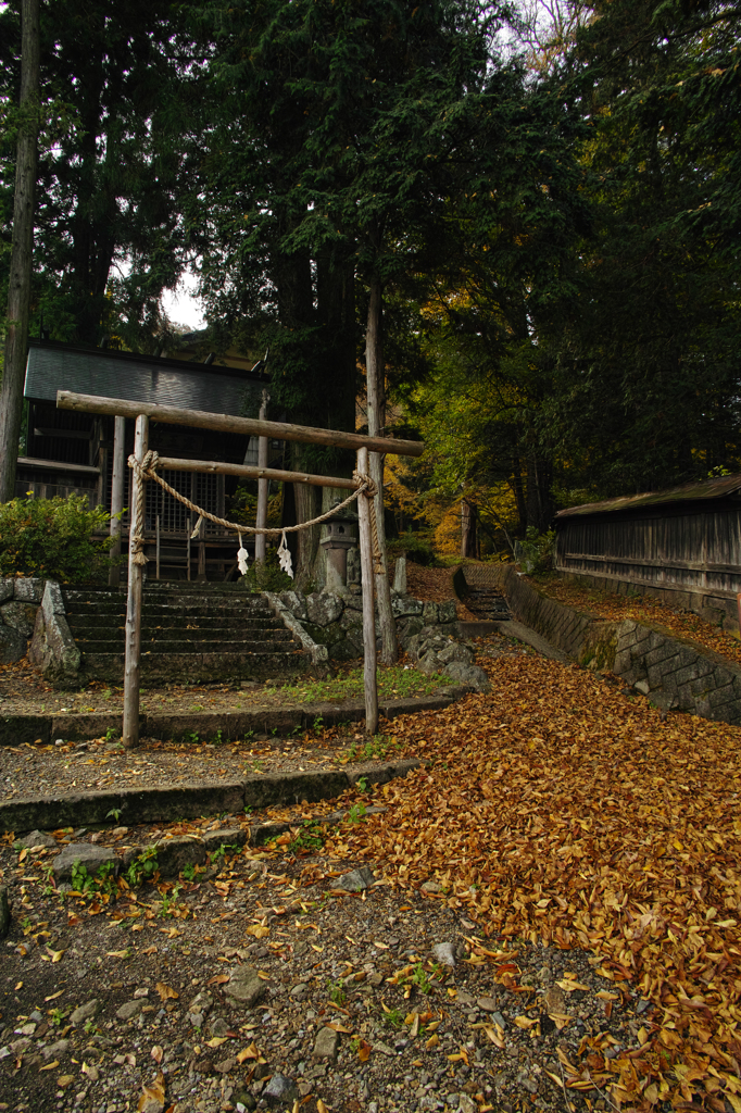 SDIM0139