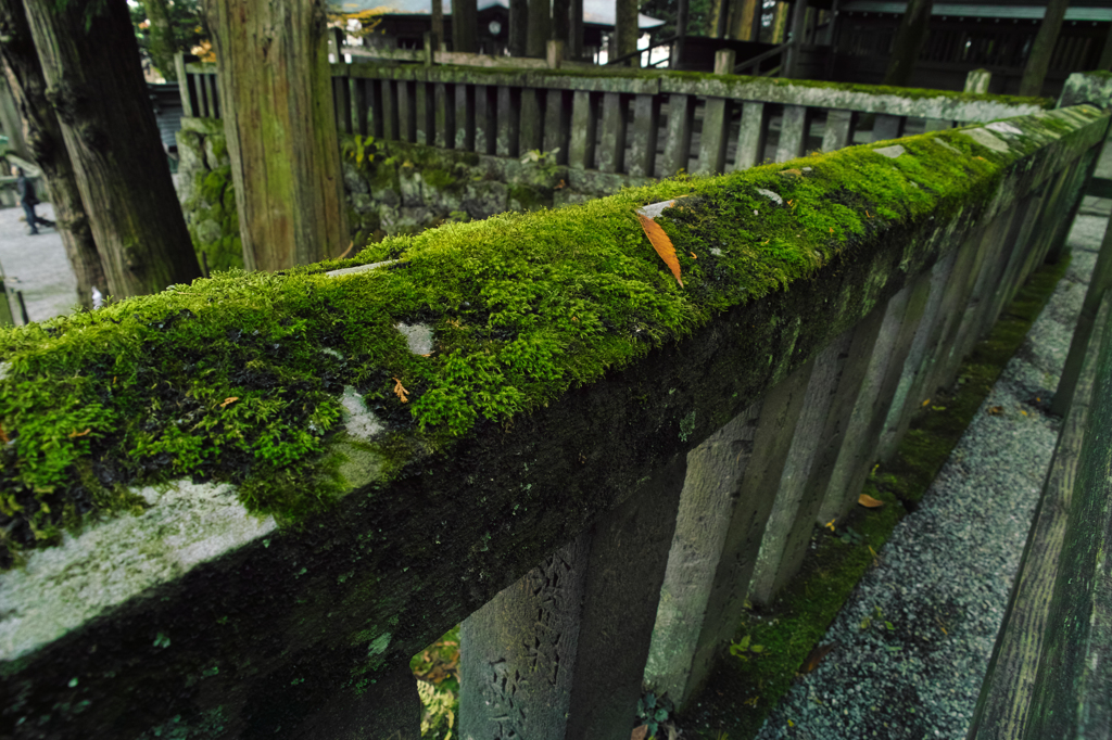 SDIM0154
