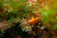 DSC01065