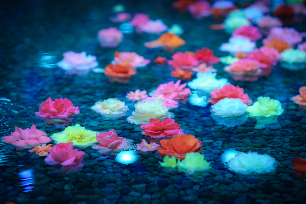 水華