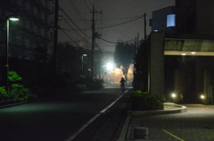 霧漂う夜道