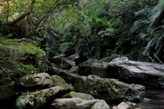 IRIOMOTE
