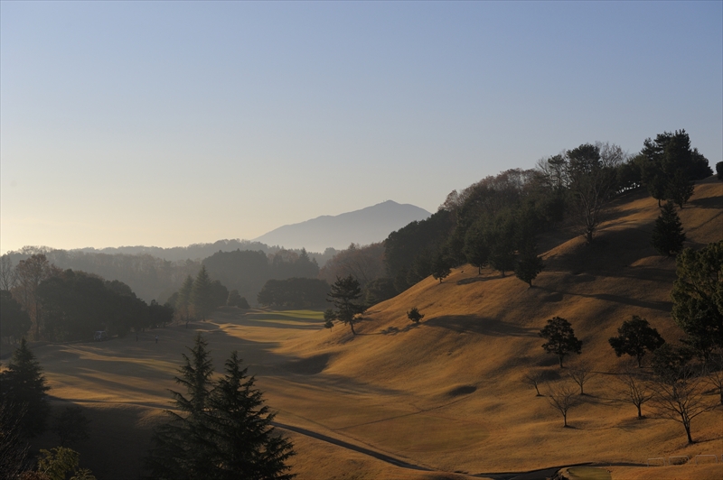 foggy brown