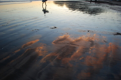 夕暮れの長谷海岸