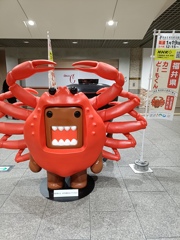 どーも