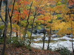 思い出の匹見峡Ⅲ