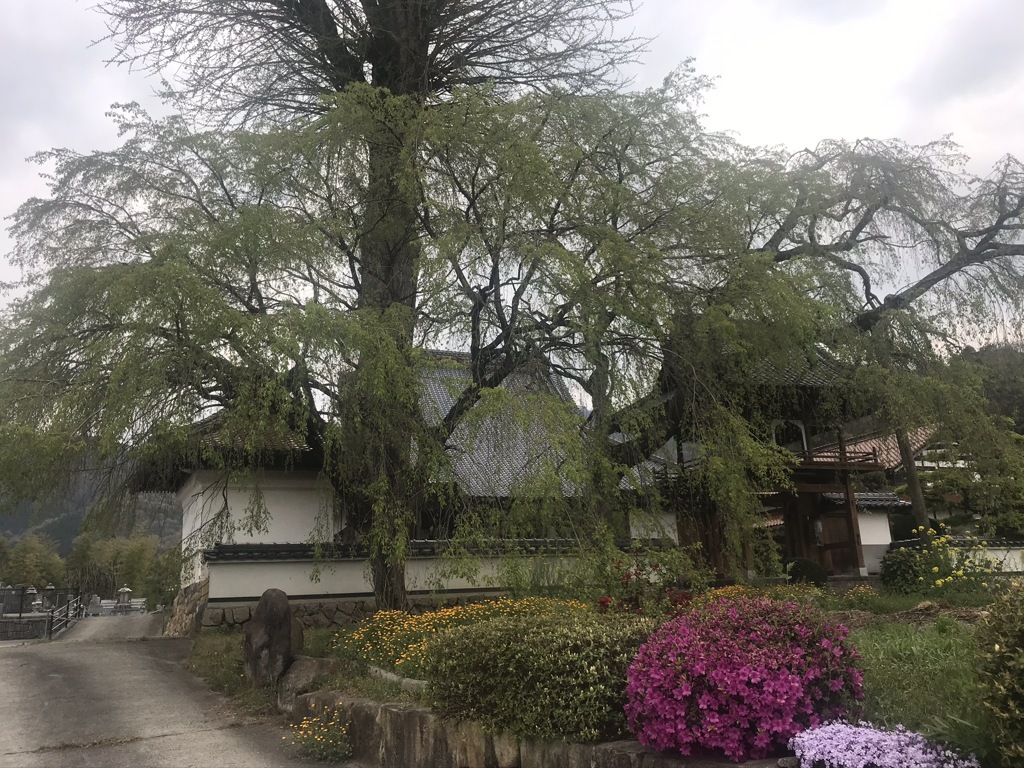 大城山福泉坊2020年