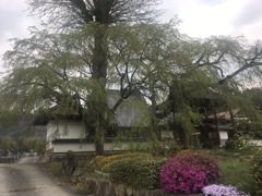 大城山福泉坊2020年